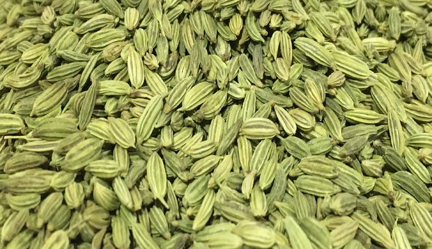 Fennel Seeds Shree Agro