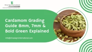 Cardamom Grading Guide 8mm, 7mm & Bold Green Explained