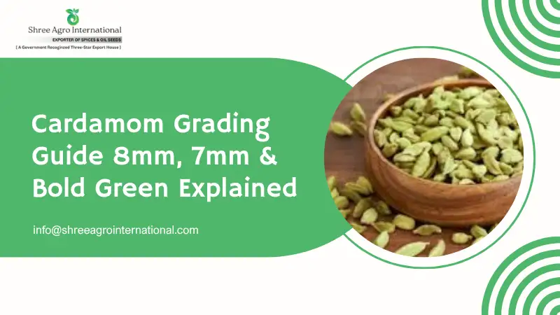 Cardamom Grading Guide 8mm, 7mm & Bold Green Explained