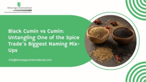 Black Cumin vs Cumin Untangling One of the Spice Trade's Biggest Naming Mix-Ups