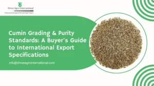 Cumin Grading & Purity Standards: A Buyer's Guide to International Export Specifications