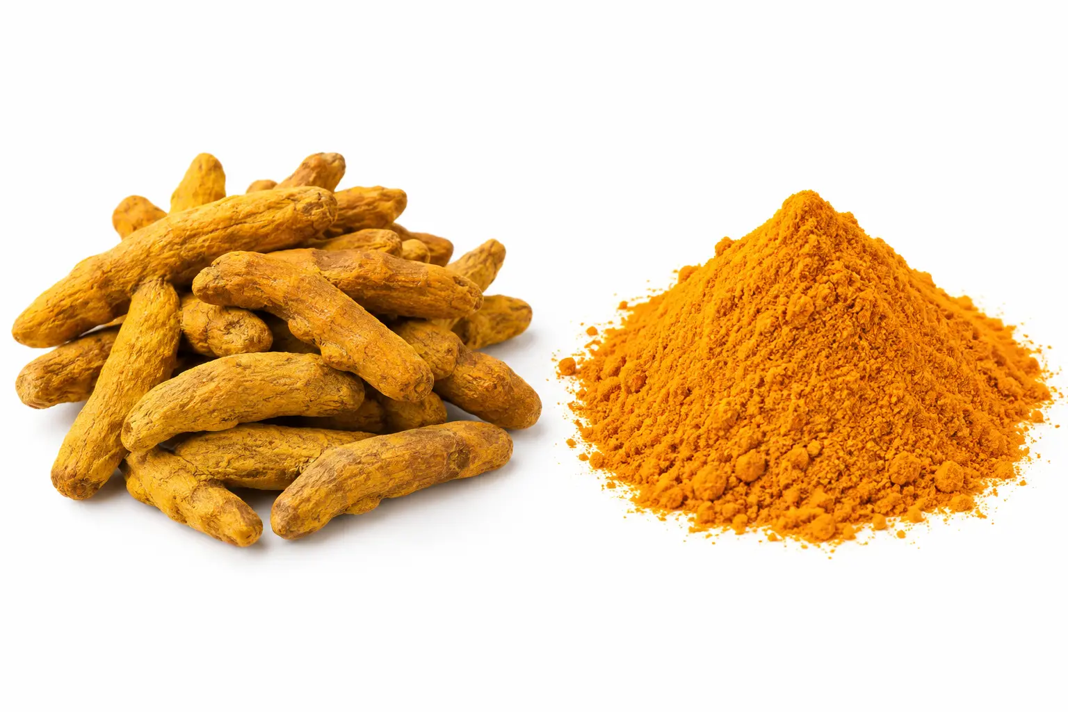 Comparison of whole cured turmeric finger rhizomes and ground turmeric powder