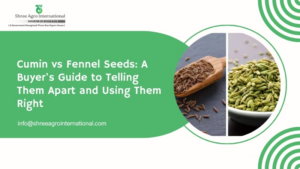 cumin vs Fennel Seeds A Buyer's Guide to Telling Them Apart and Using Them Right