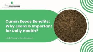 cumin seeds benefits